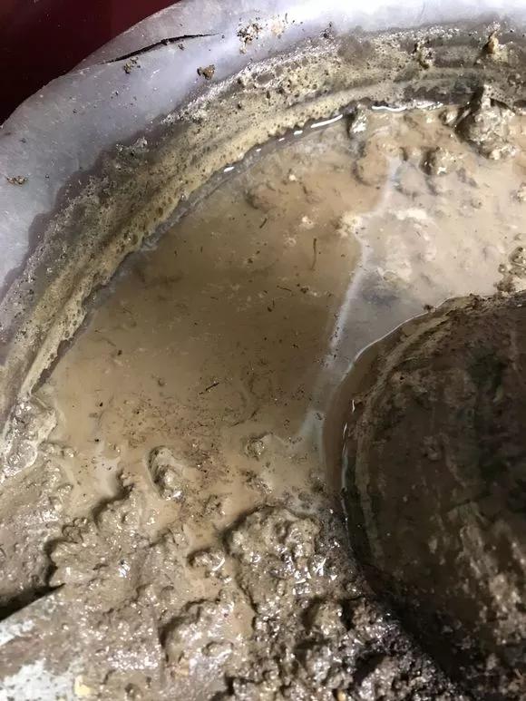 花儿闷根了怎么办,花儿栽上一天就蔫了怎么养护