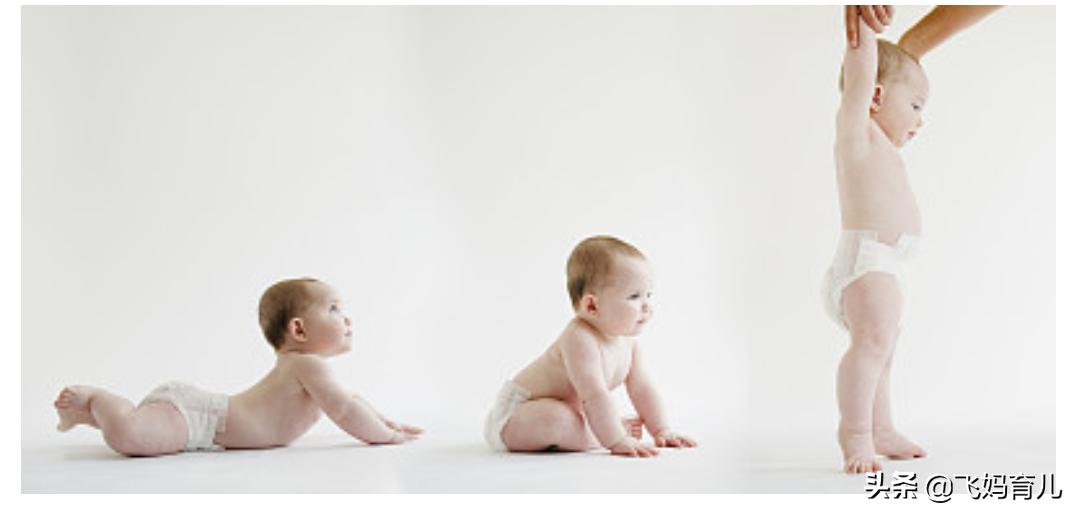 9个月的婴儿应该怎么养,九个月宝宝的培养方式