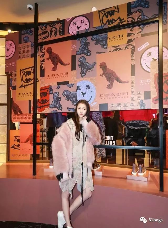 coach好看的款式,coach最新设计师