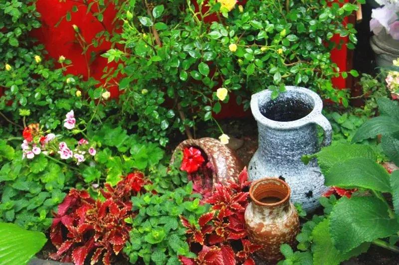 胡同里的日常生活,胡同里的北京生活