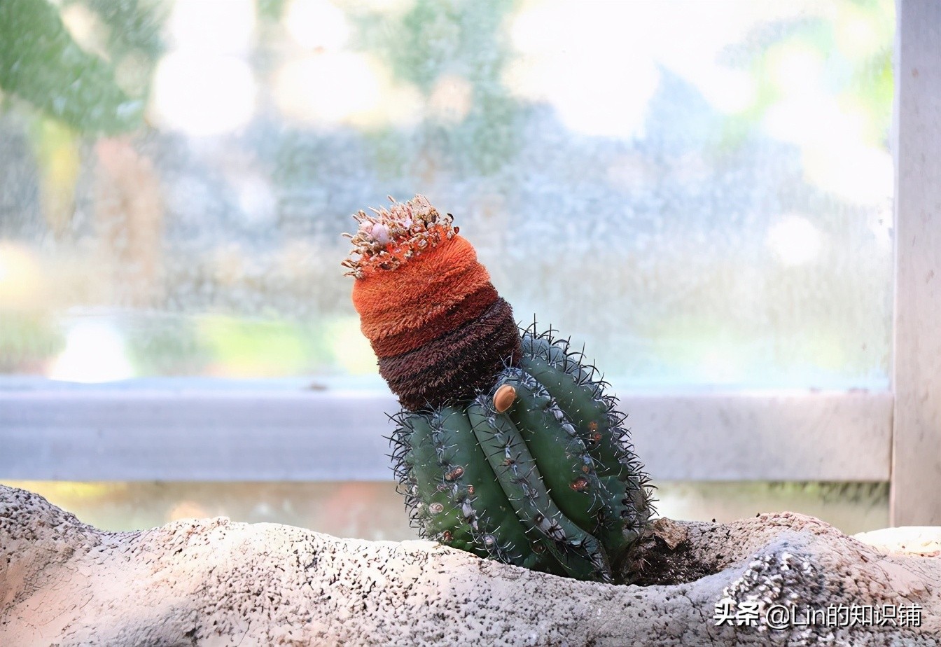 生活中的神奇冷知识,12个超有趣的冷知识