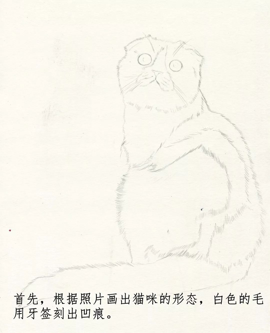 素描动物入门知识,素描动物简单入门教程狗