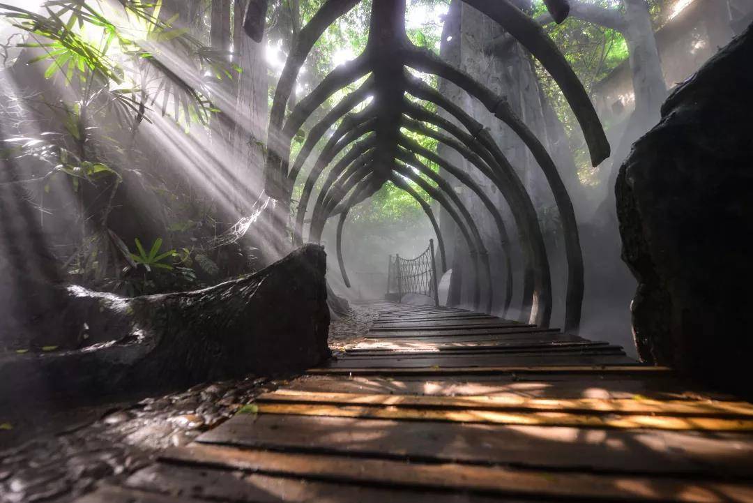 深圳青青世界有什么好玩,深圳青青世界亲子套票