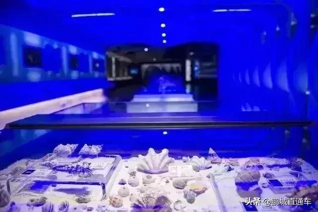 深圳60个最适合一日免费景点,暑假深圳旅游必去十大景点