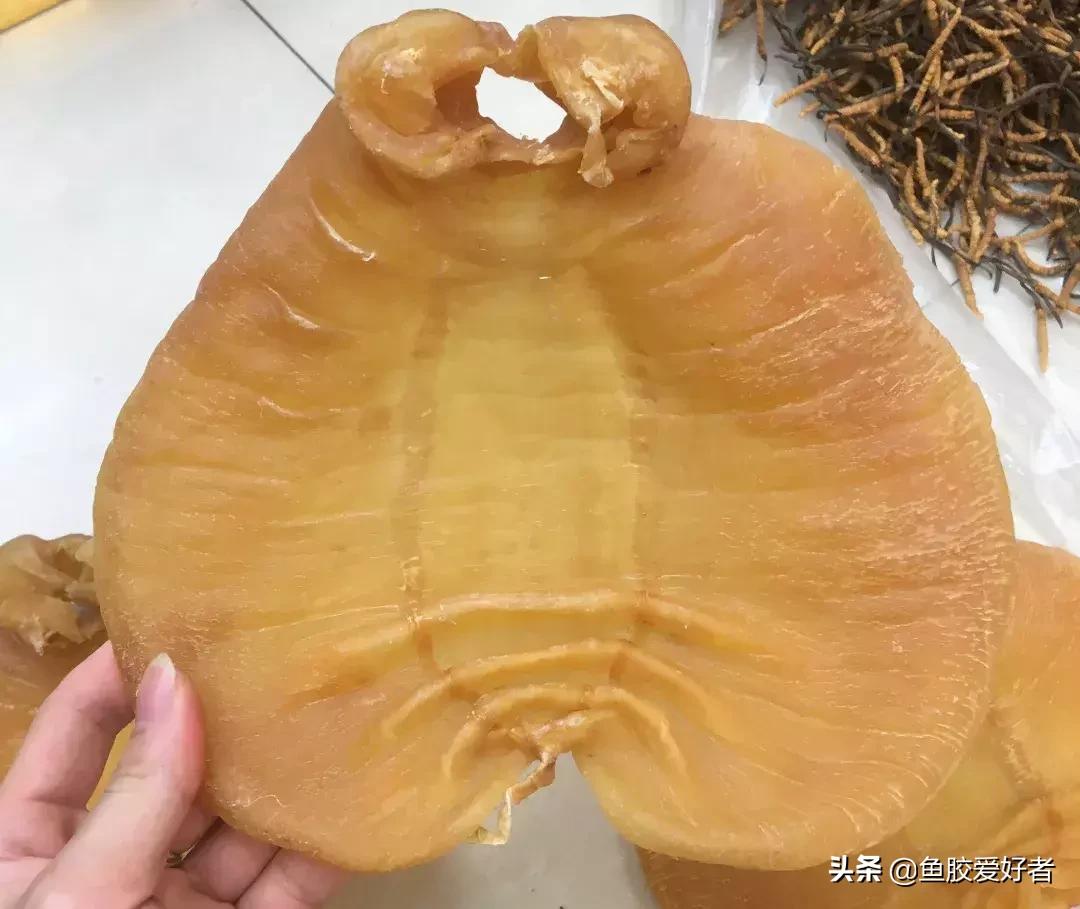 十大鱼胶排行,十大鱼胶品牌