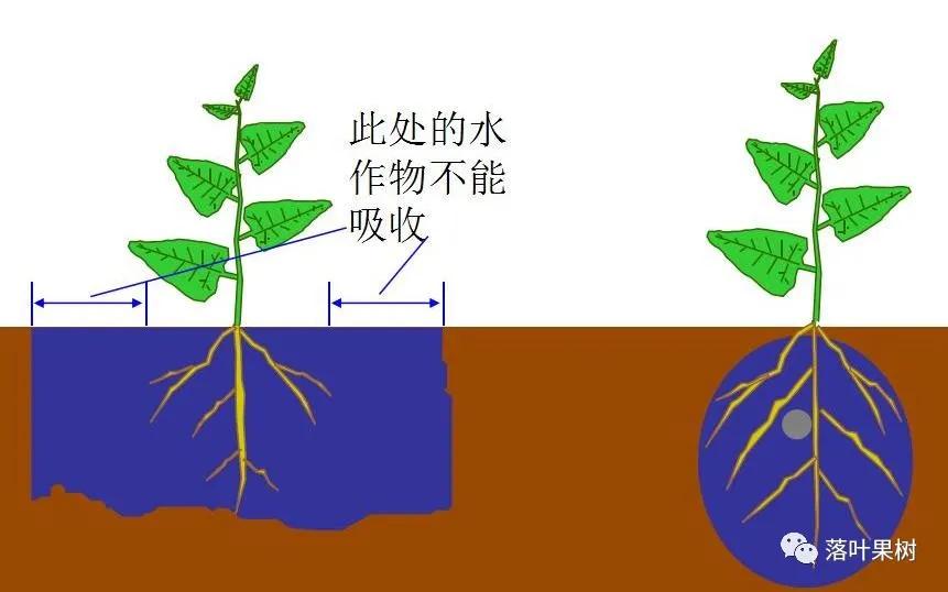 中国桃产业转型升级,桃产业转型升级的思考