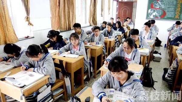 新高考选科最佳搭配历史政治生物,中考地理生物历史化学如何四选二