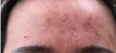 颜值即是正义书籍推荐,颜值即正义深度解析