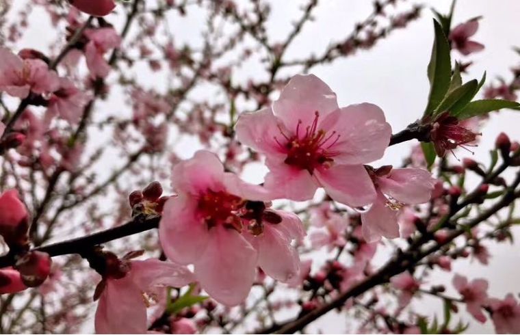 北京郊游去的民宿,北京郊游民宿