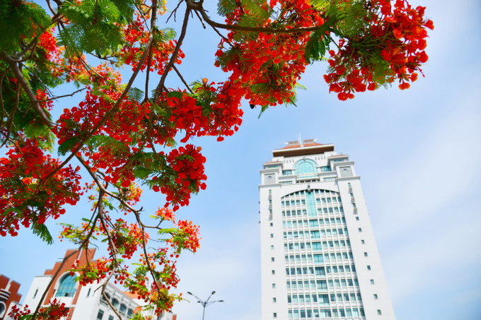 厦门住宿攻略最佳酒店,厦门住宿攻略地图讲解