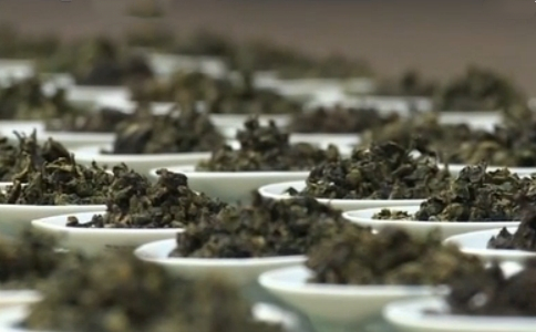 铁观音茶王赛的来历,安溪铁观音双世遗杯茶王赛