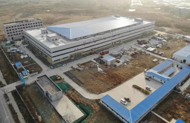 桃李面包出问题了吗,桃李面包为何跌跌不休