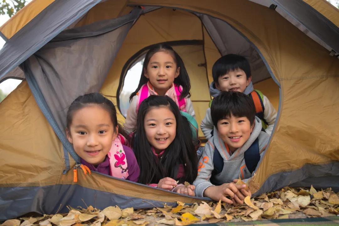 我为什么不要求我的孩子考100分,我为什么不让孩子上学