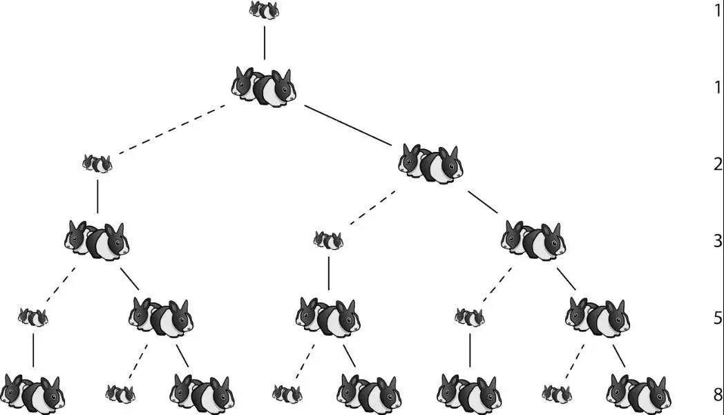 澳洲的兔子是怎么泛滥的,澳洲兔子怎么形成的