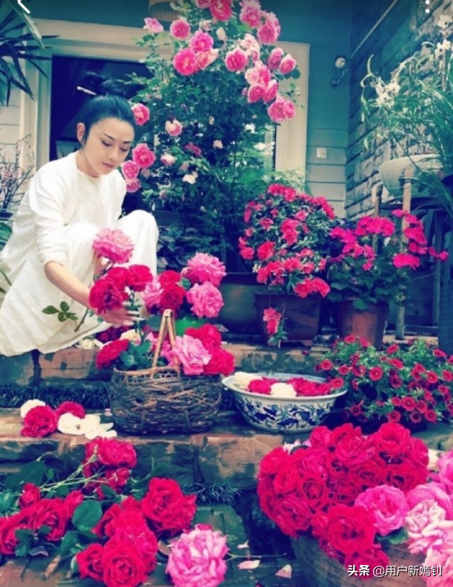 喜欢一个人得不到又放不下怎么办,喜欢她却得不到她