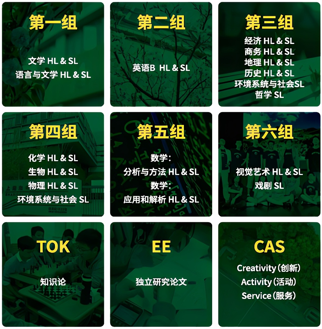 平和双语学校和上海美国学校,平和双语学校国际高中