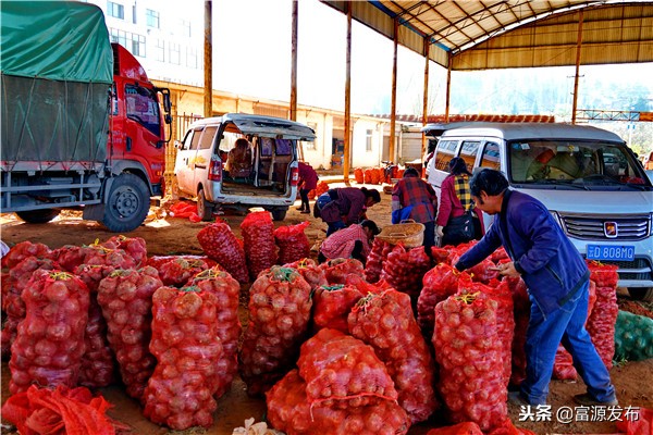 富村魔芋交易市场小区,广东最大魔芋批发市场