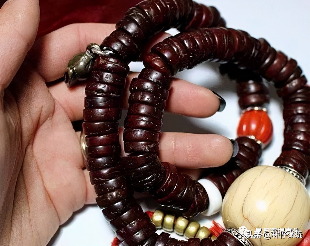 凤眼菩提视频教程,凤眼菩提介绍视频