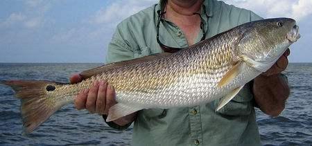 汕头南澳岛淡水钓鱼点位置,汕头南澳岛哪里可以钓鱼