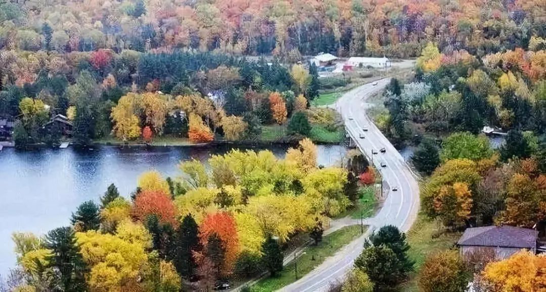 中加留学移民,中加学校教育理念