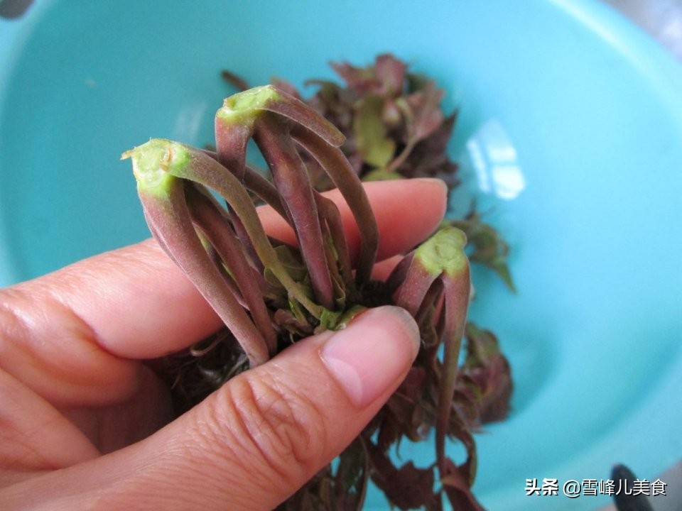 香椿炒什么才好吃啊,香椿怎样做美食才好吃呢