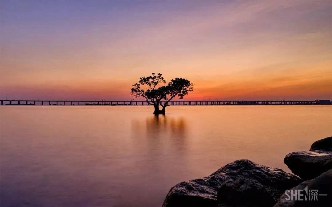 深圳好玩的地方推荐地铁4号线,深圳4号线值得玩的地方