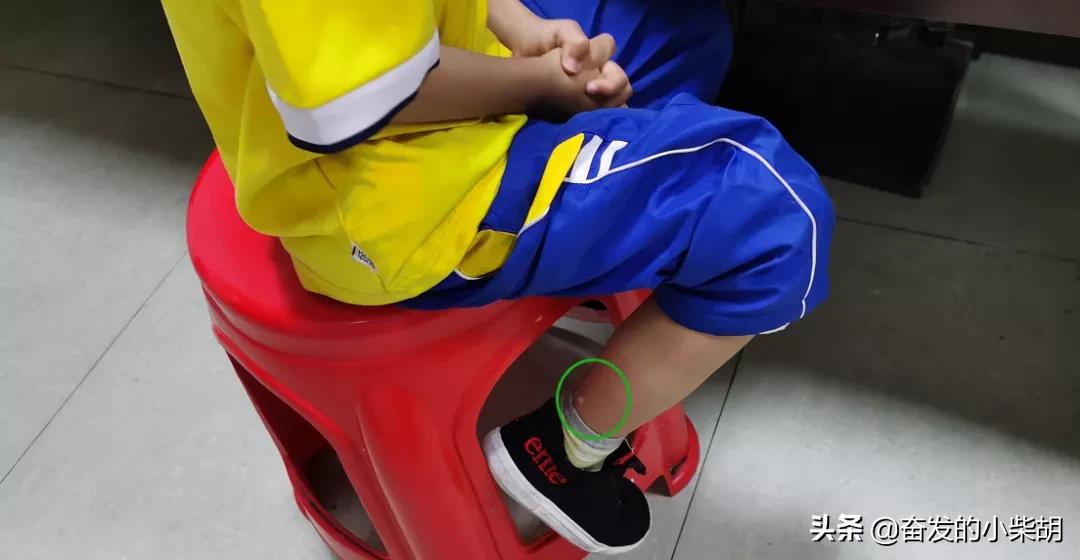 如果遇到红火蚁应该如何自救,红火蚁入侵要小心专家帮你划重点