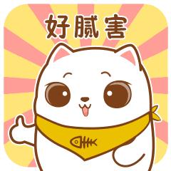 广东肇庆幼升小一般什么时候报名,肇庆端州区2022幼升小的手续条件