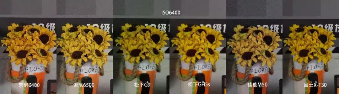 横评|索尼A6400、A6500、松下G9、GH5S、富士X-T30和佳能M50