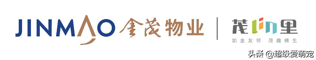 金茂广场萌宠生活节,金茂物业活动