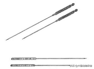 兽医针灸方法,针灸治疗方法及针灸优势病种