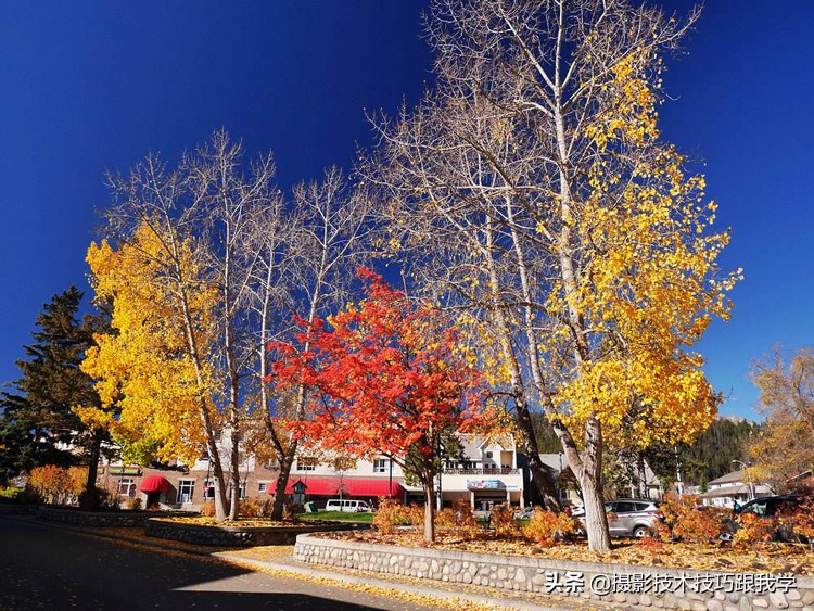 最美红叶拍摄方法,深秋拍摄红叶技巧