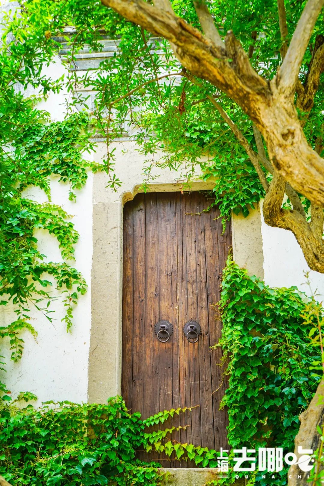 上海国庆免费景点推荐,上海值得去的免费景点旅游攻略