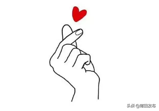 莆田体育赛事活动,莆田体育奖项