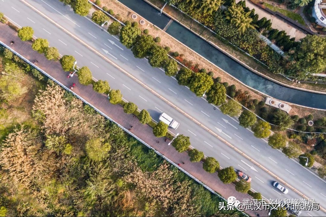 武汉环城绿道,武汉上半年全线贯通的新绿道