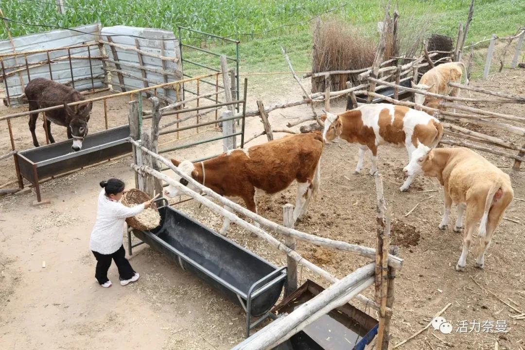 奈曼扶贫一点通,奈曼百企帮百村扶贫