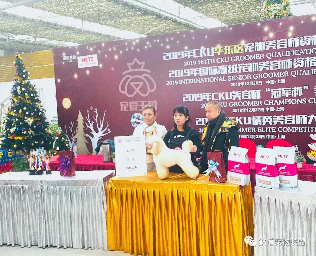 深圳口碑最好的成人教育培训机构,深圳十大成人教育培训机构排名榜