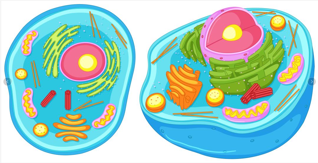 高逼格SCI图必备的矢量素材网站