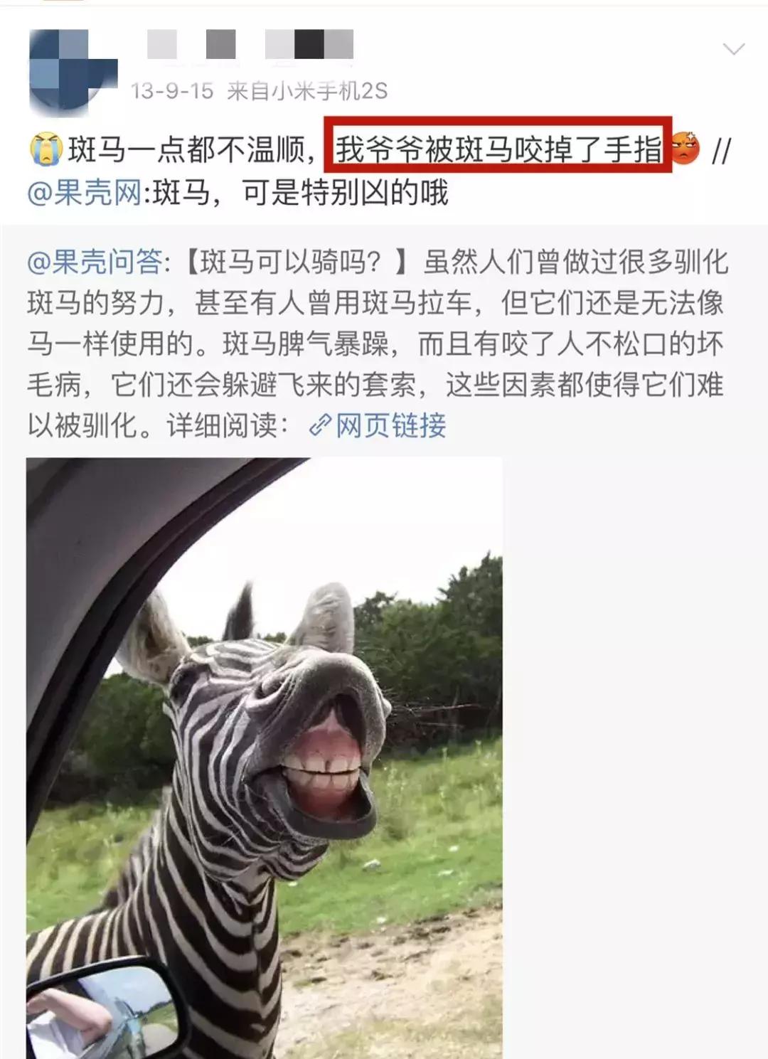 女子被斑马咬掉手指河北廊坊,21岁女孩喂斑马被咬