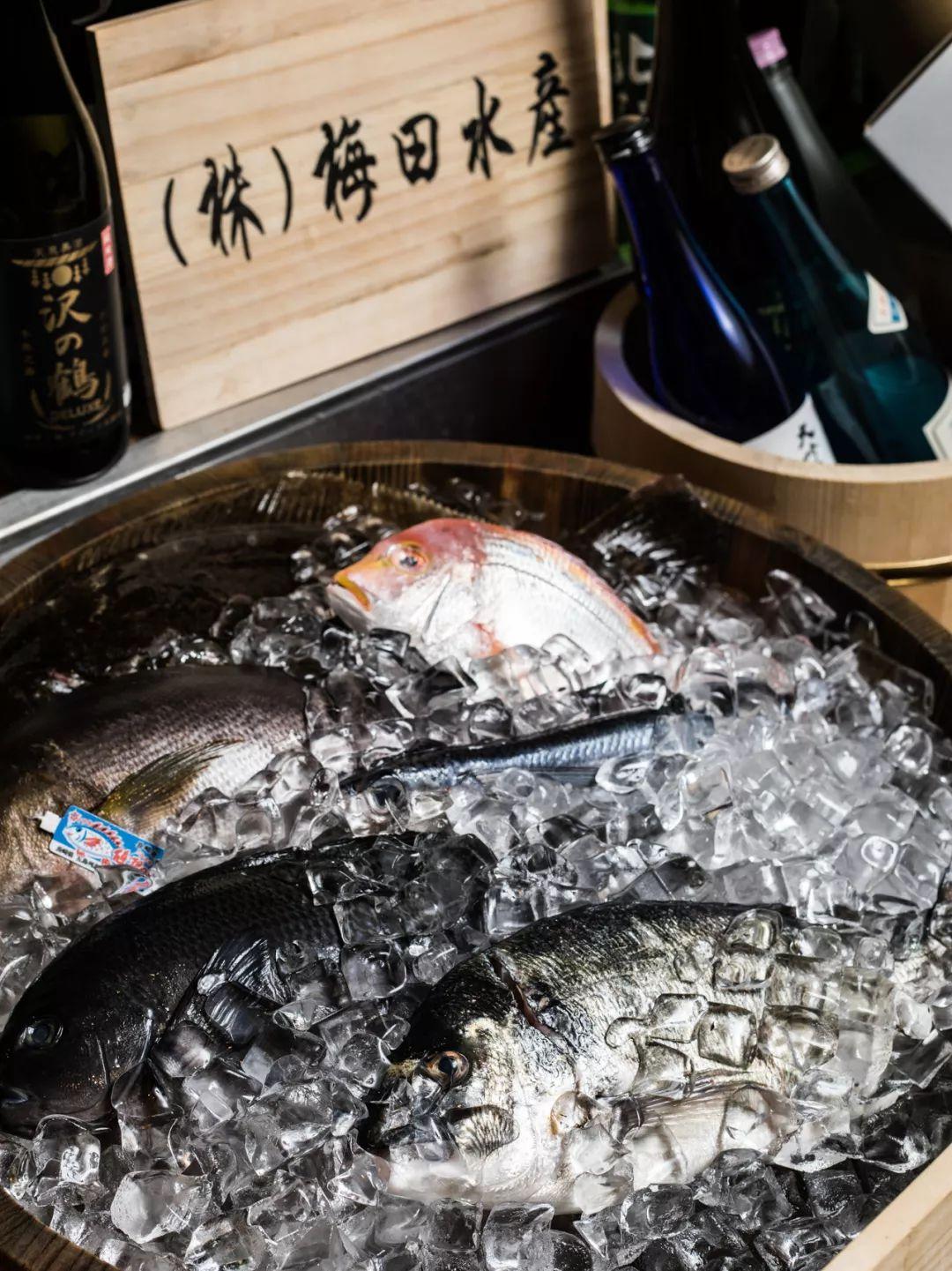 日式酒场大哥大出来营业了，凌晨3点还被小仙女围观