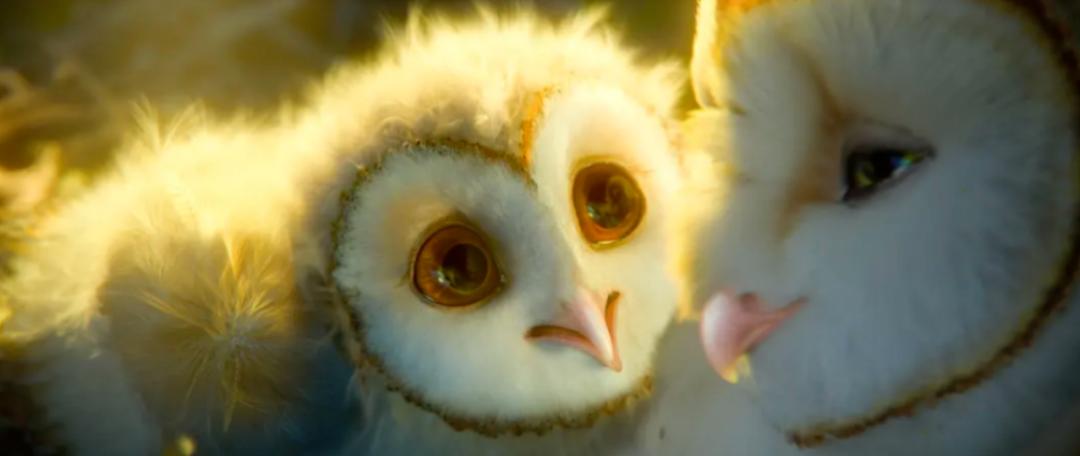 正义联盟扎克施奈德最新消息,正义联盟扎克施奈德版实力排名