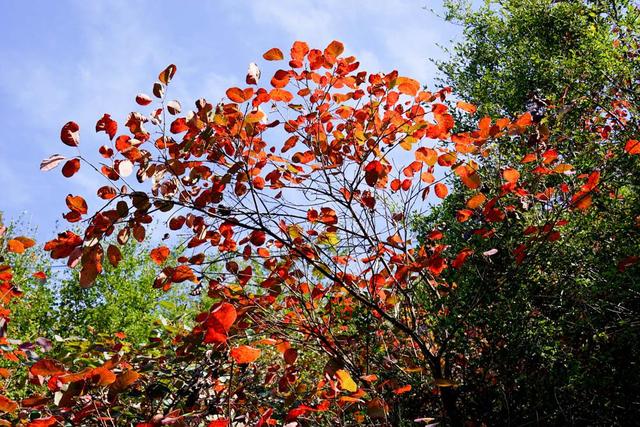 巫山究竟是一个什么样的地方，为什么重庆人都觉得他太遥远