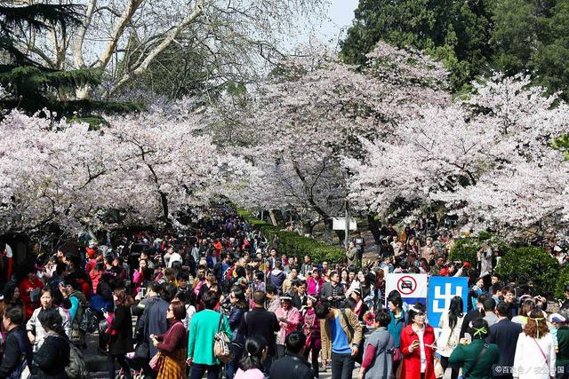 考上武汉理工意味着什么,考上武大好考公务员吗