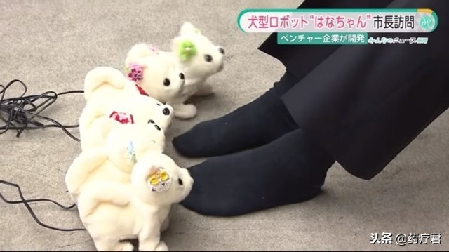 袜子*裤内**一起洗会使细菌交叉感染？医生终于说了大实话！