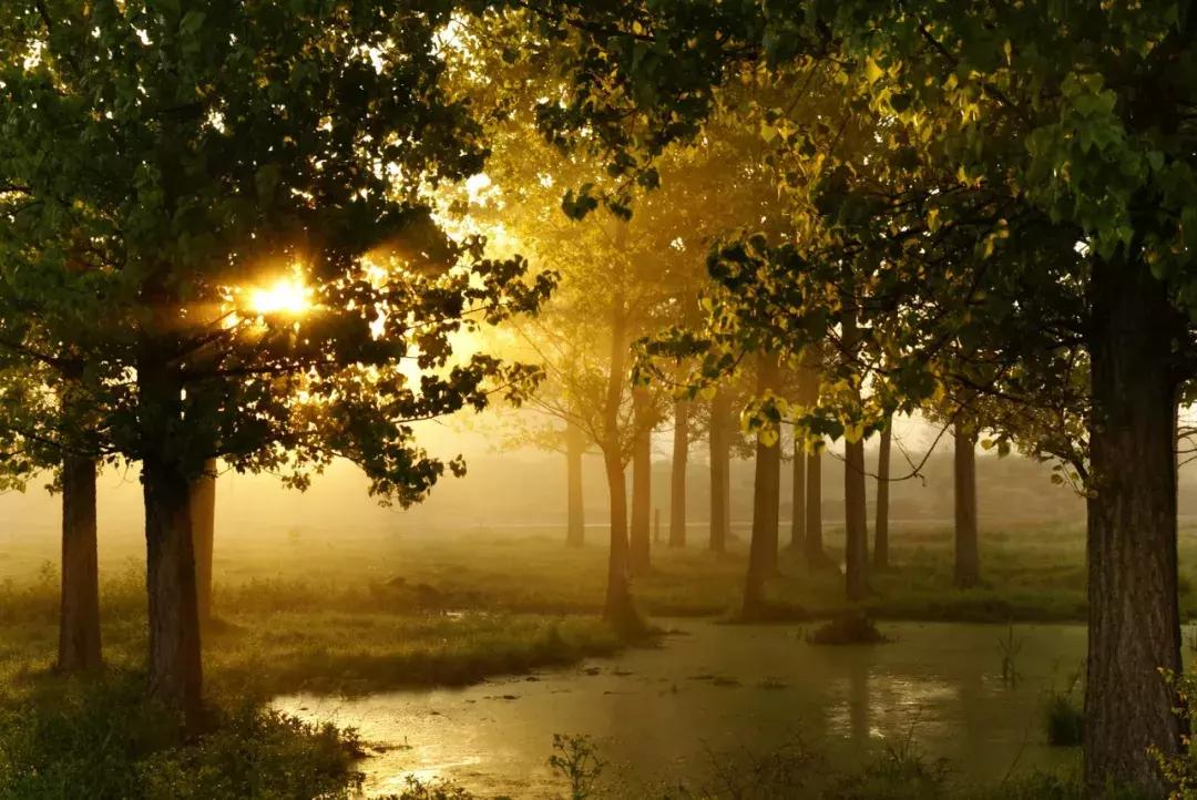 林清玄经典散文宁做傻瓜,林清玄散文有哲理的话30句