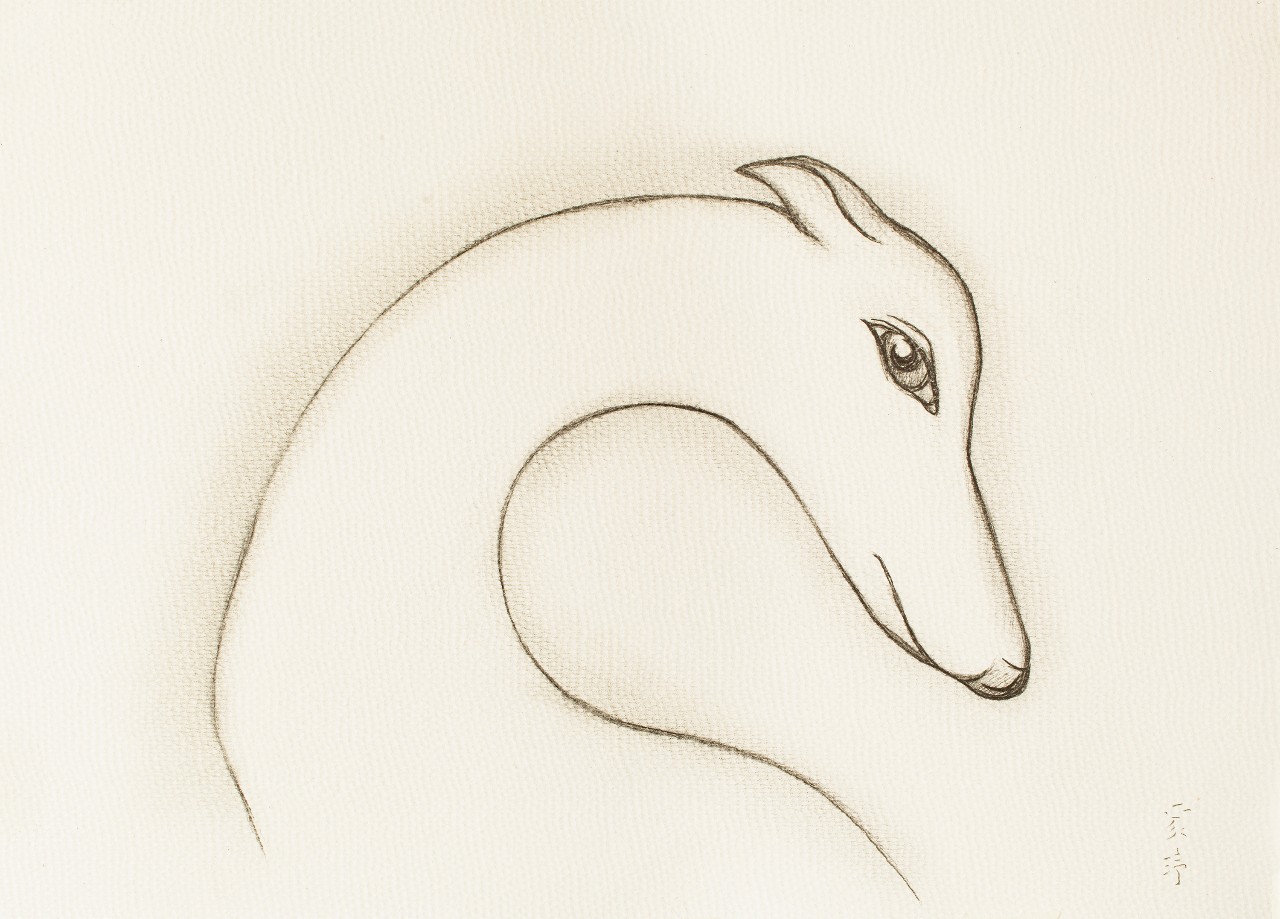 张家玮专访:我好像在池塘的水底,从一个月亮走向另一个月亮