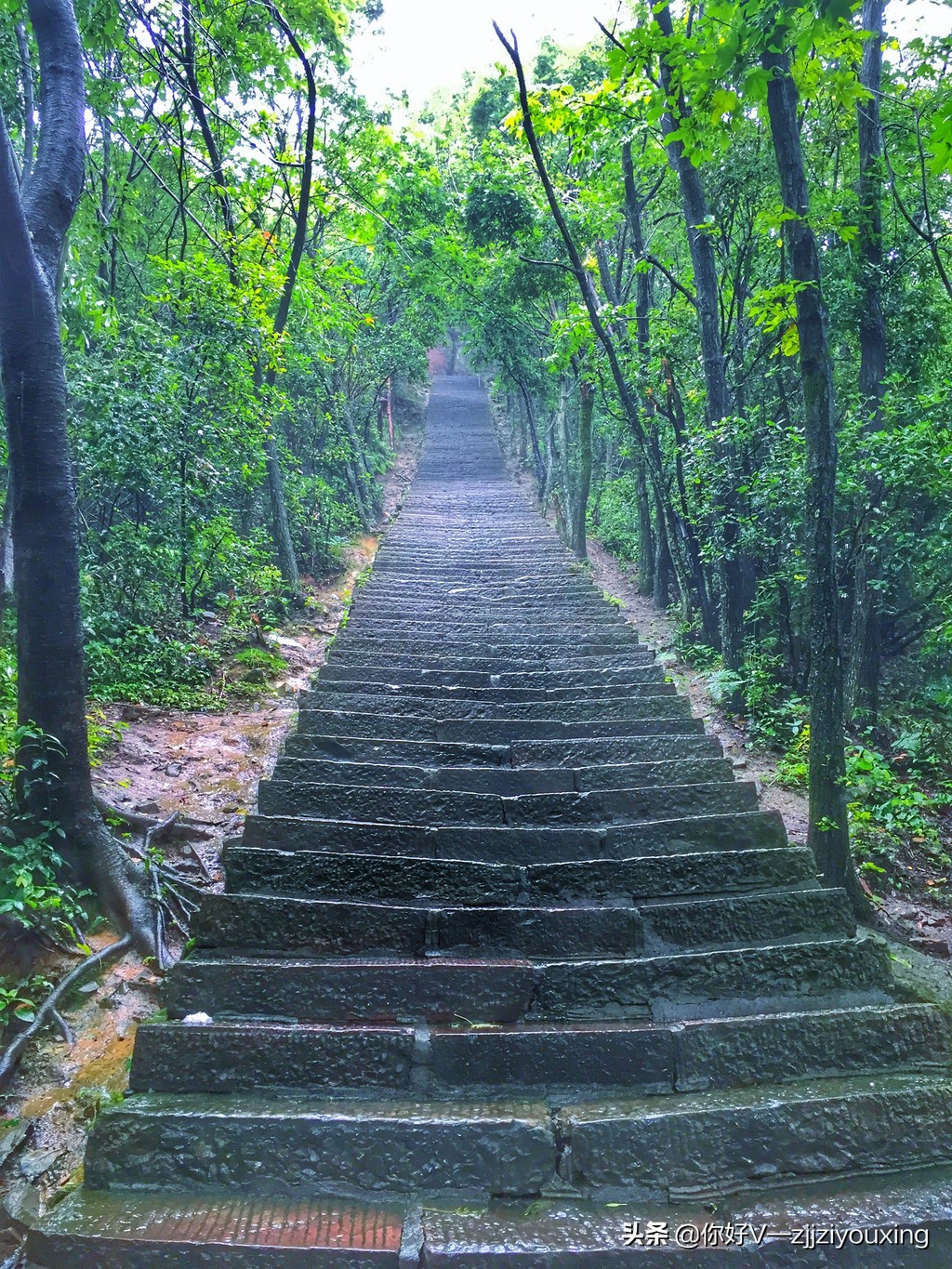 张家界旅游两人同行优惠,张家界结伴旅游多少钱一个人去