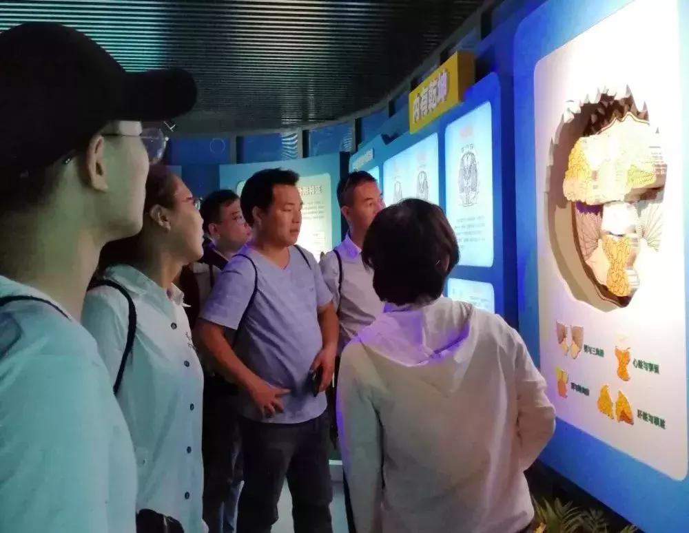 来，跟着“新高淳人”看高淳～