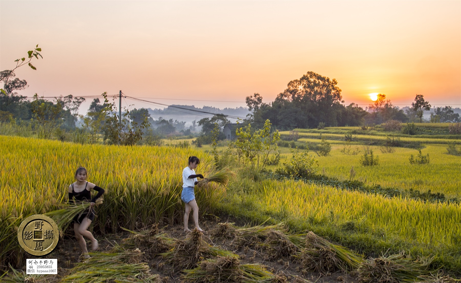 广安撤县名单查询,70年广安县有多少个人民公社