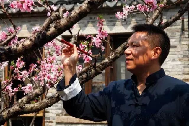 田园东方的成功之处,田园综合体的未来